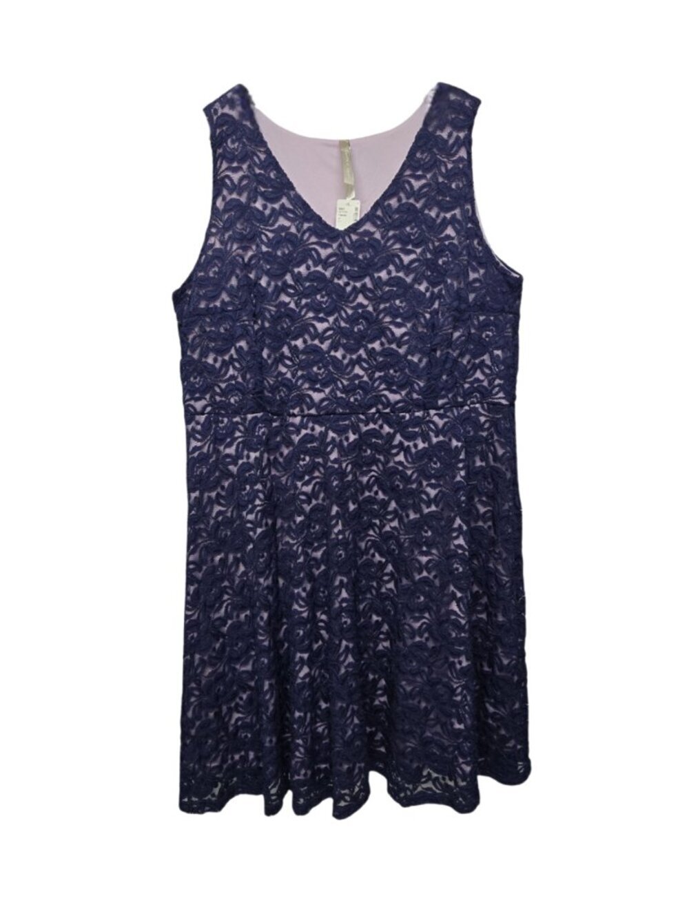 Coquette et Coquine Dress 2X Sleeveless Lace Dark Purple Fit Flare Formal NWT
